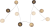 079329 (1).png