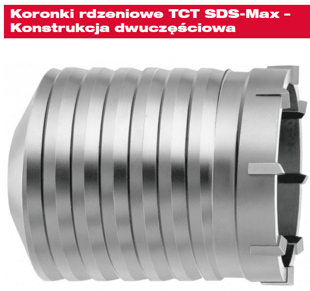 otwornica koronkowa.jpg