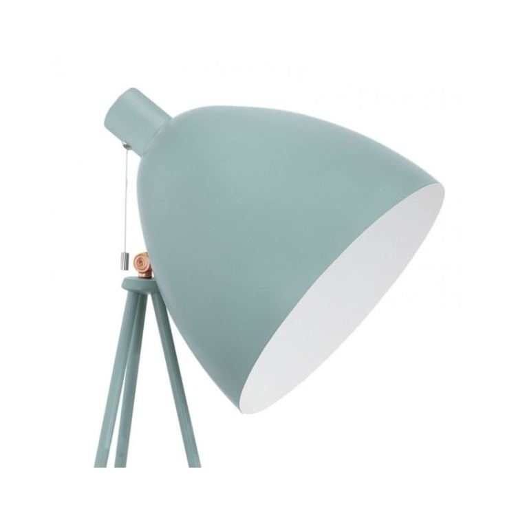 49342-dundee (1).jpg