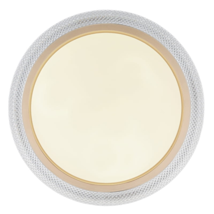 bolly-41372-24-g28165 (1).jpg