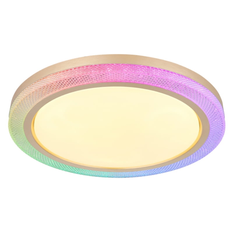 bolly-41372-24-g28165 (8).jpg