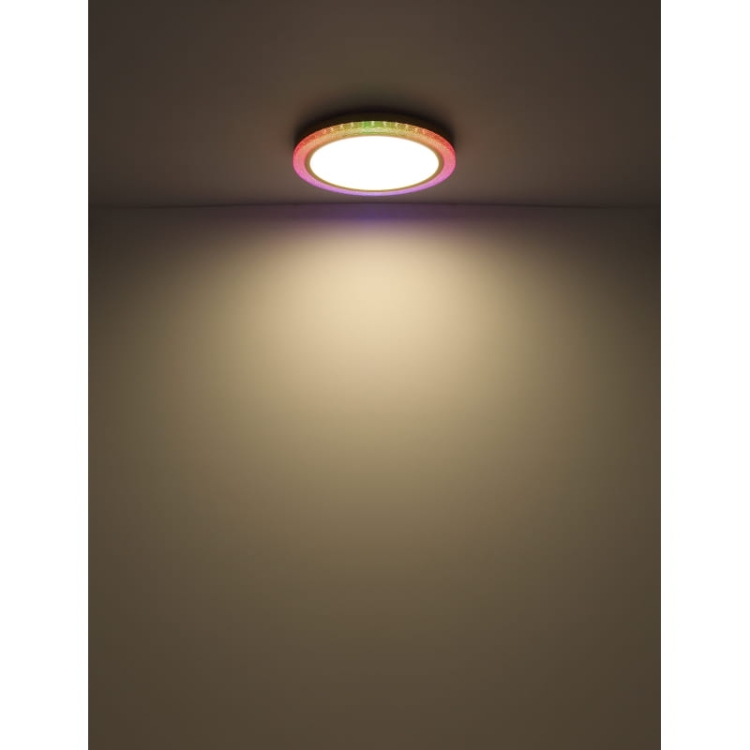 bolly-41372-24-g28165 (9).jpg