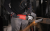 1626622.png