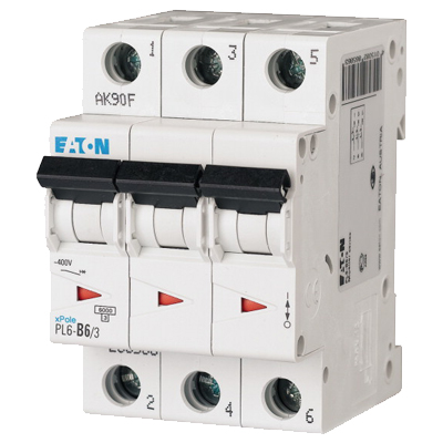 PL6-B6-3.jpg
